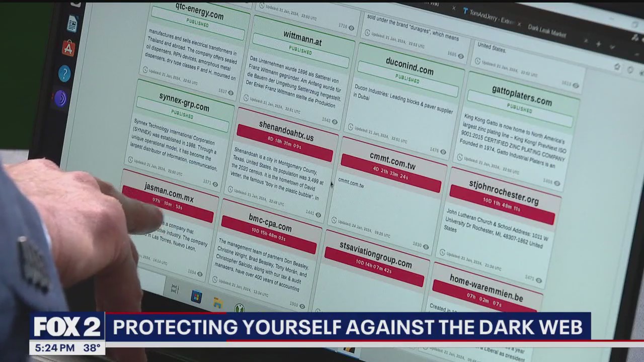 Expert talks about accessing dark web and protecting yourself