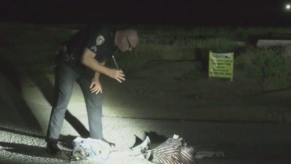 Woman killed in Riverside hit-and-run