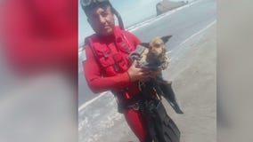 Marina del Rey sailor missing in Mexico; boat recovered