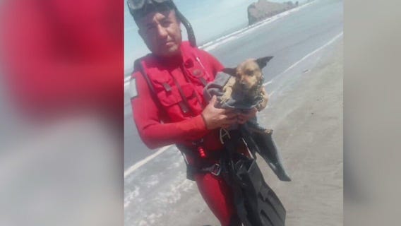 Marina del Rey sailor missing in Mexico; boat recovered