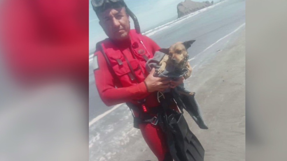 Marina del Rey sailor missing in Mexico; boat recovered