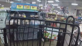 Experts expect grocery prices to go up by additional 6% this year