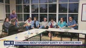 Recent cases of violence spark safety concerns at Cerritos High