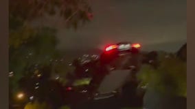 Echo Park Tesla jump crash goes viral