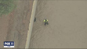 Dog Rescue: Crews complete dramatic mission in LA River