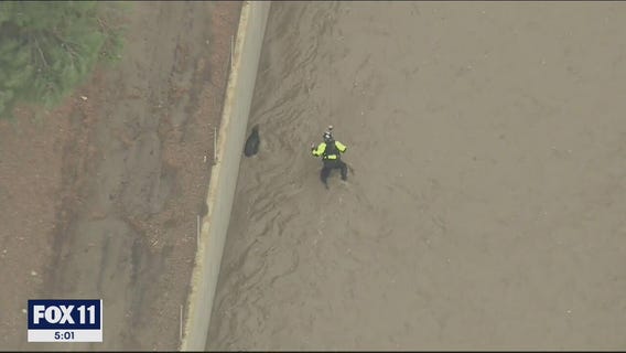 Dog Rescue: Crews complete dramatic mission in LA River