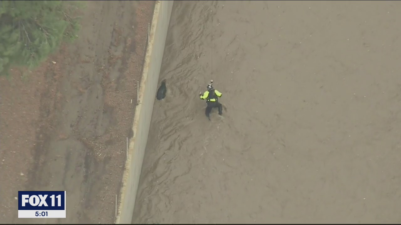Dog Rescue: Crews complete dramatic mission in LA River