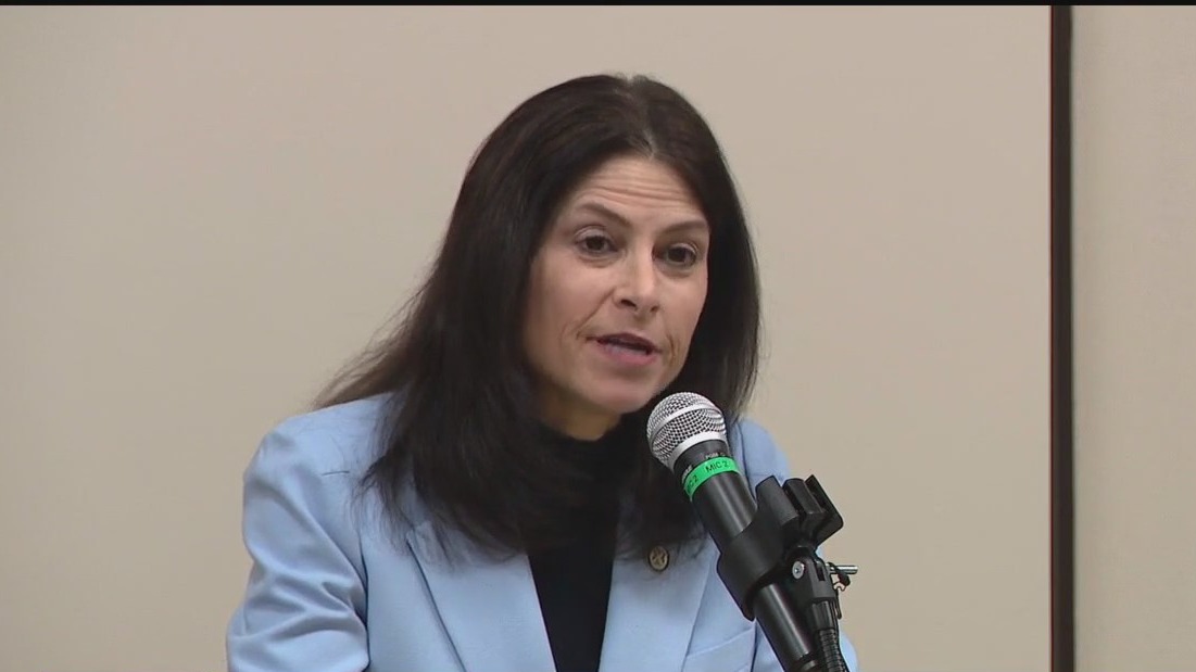 New gun laws go into effect on MSU shooting anniversary