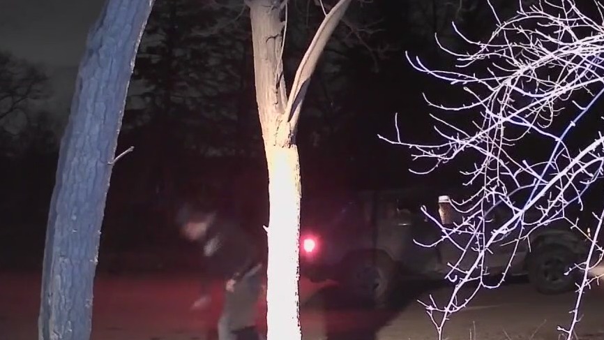 Pride flag, BLM sign thief caught on camera