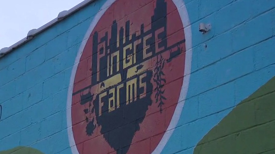 Livestock stolen from Detroit urban farm