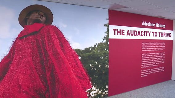 Black History Month exhibits celebrate freedom at Charles H Wright Museum in Detroit