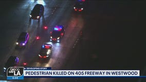Pedestrian killed on 405 Freeway in Westwood