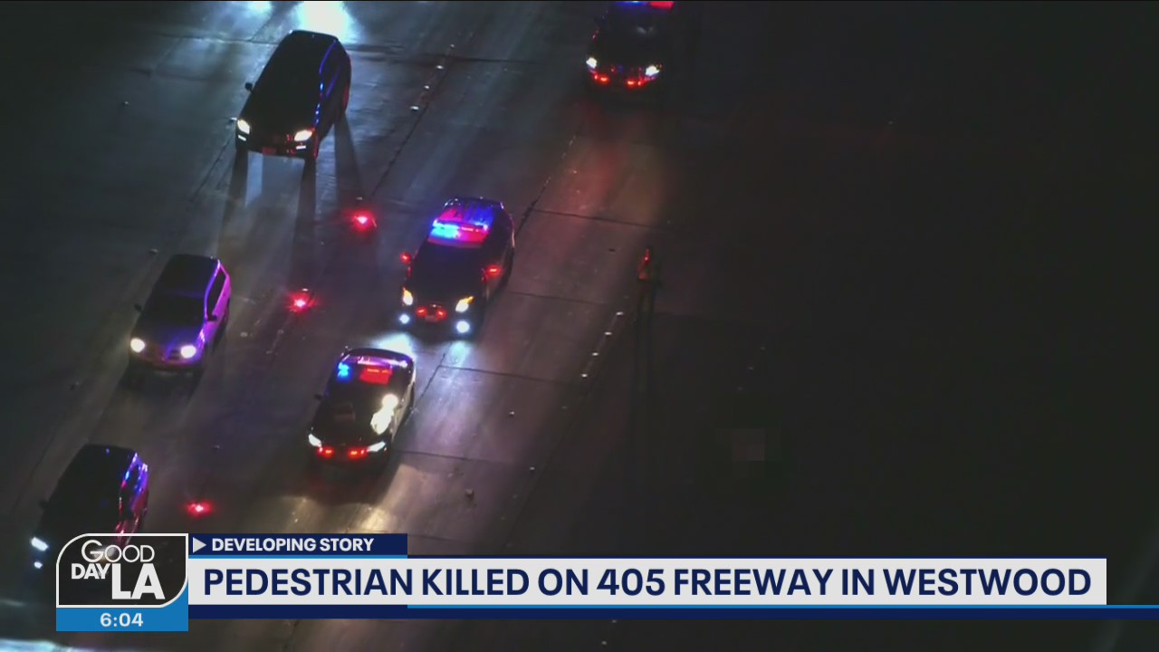 Pedestrian killed on 405 Freeway in Westwood