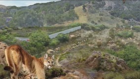 101 Freeway wildlife crossing to break ground Friday