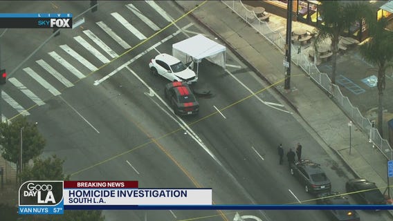 Homicide investigation underway in South Los Angeles