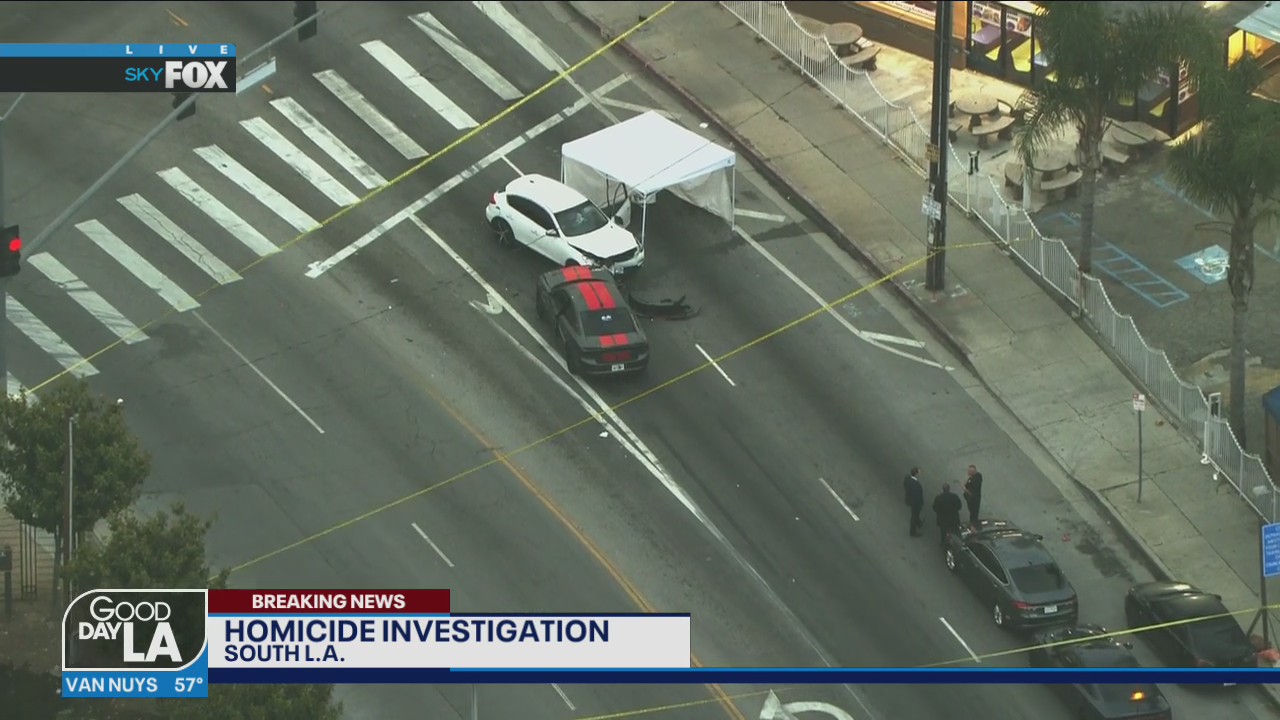 Homicide investigation underway in South Los Angeles