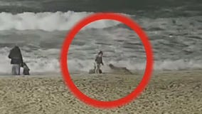 Coyote attacks little girl near Huntington Beach pier