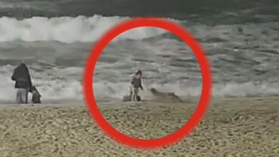 Coyote attacks little girl near Huntington Beach pier