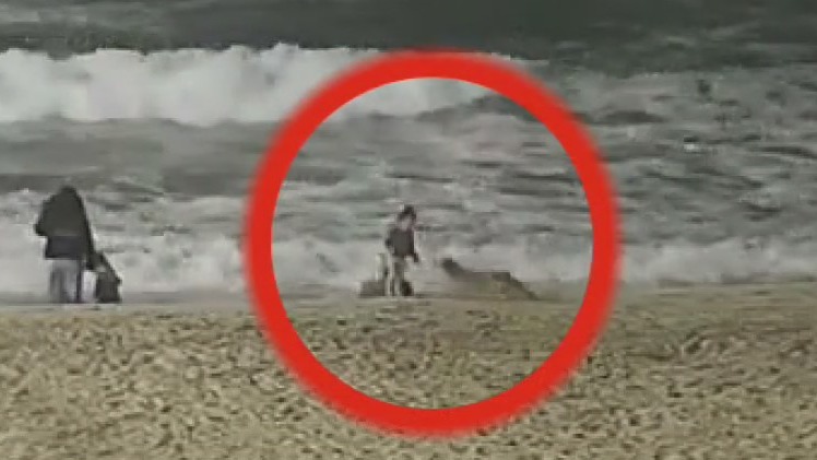 Coyote attacks little girl near Huntington Beach pier