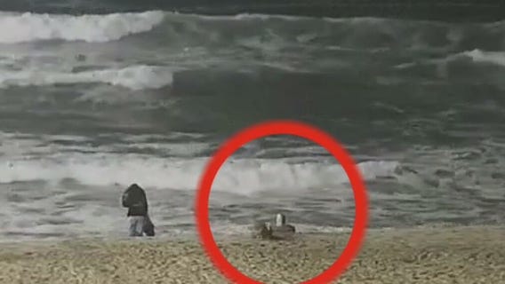 Huntington Beach to discuss coyote problem