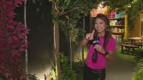 Immersive toy store "camp" comes to Century City