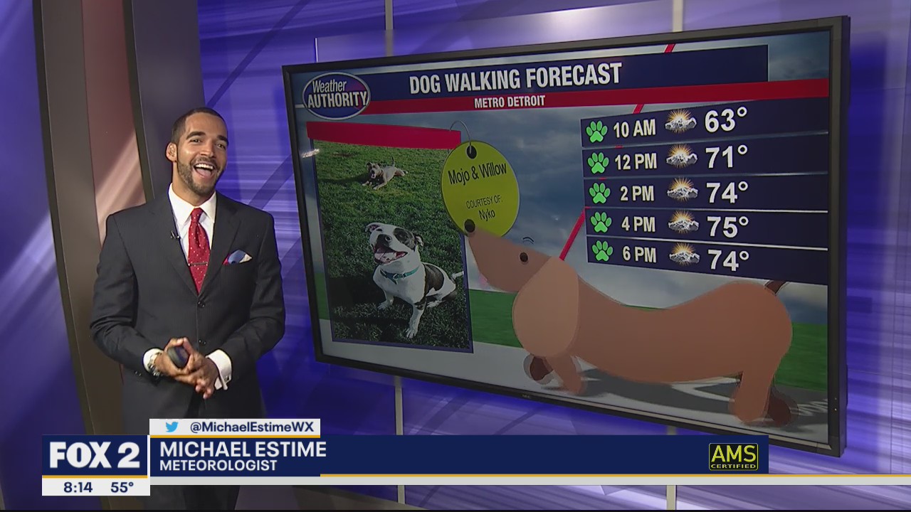 Meet Mojo and Willow!