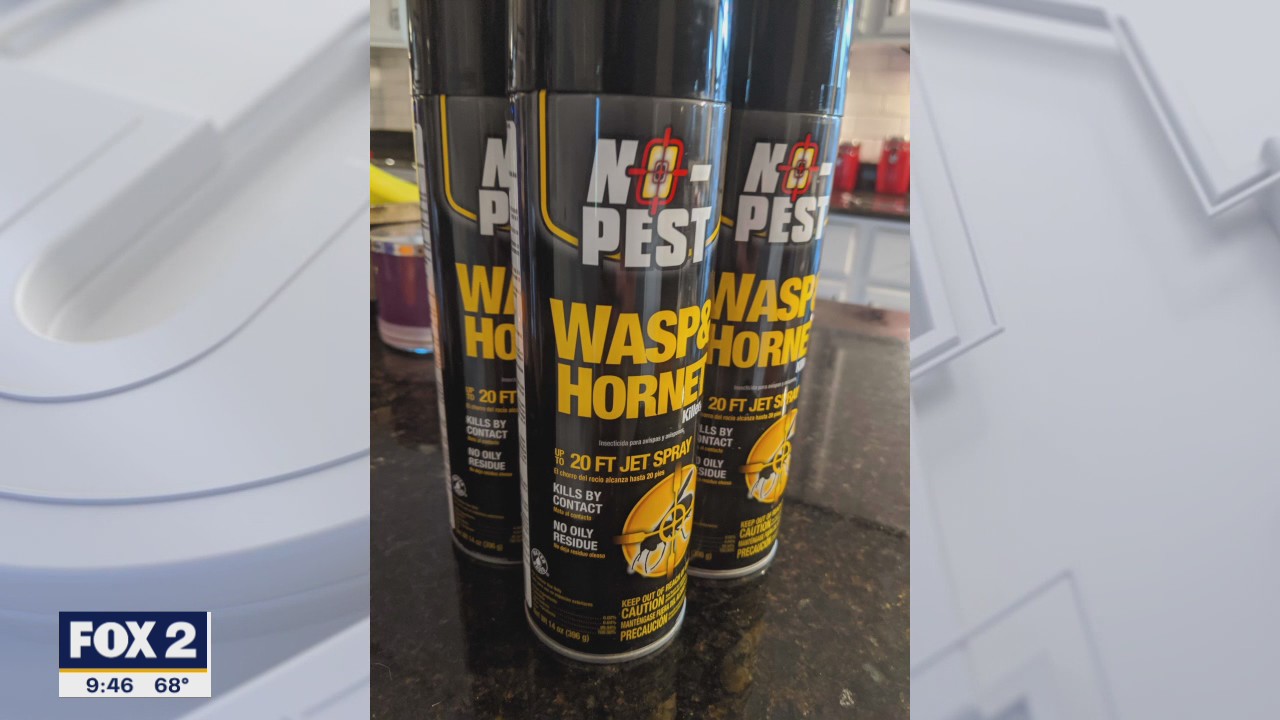 Derek's pure hatred for bees