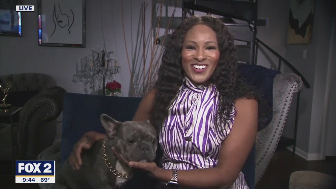 Tips If You're Still Working or Studying At Home With Your Dog