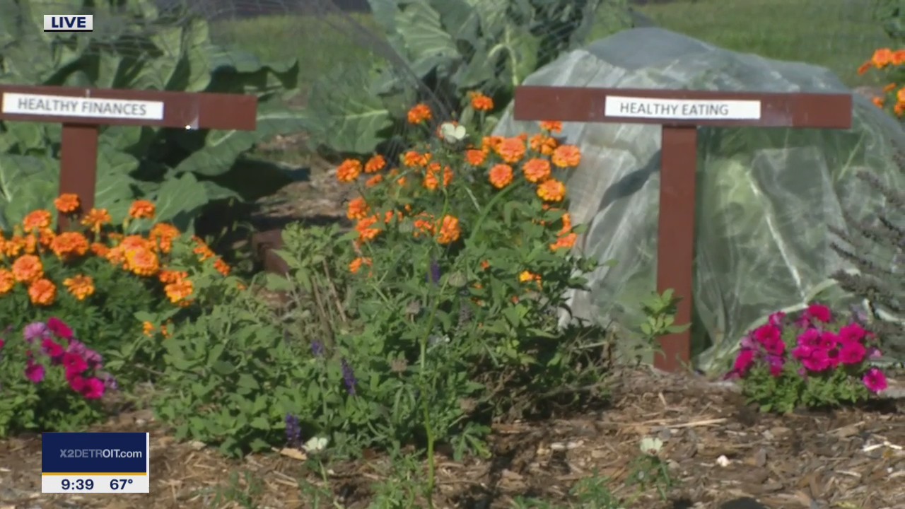 Empower your family by growing your own food