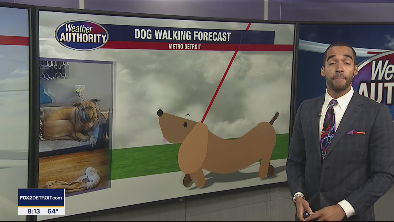 Meet Chloe and Marshall!