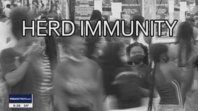 The Doctor Is In : Herd Immunity
