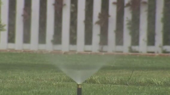 Californians could see mandatory water cuts amid drought, Newsom says