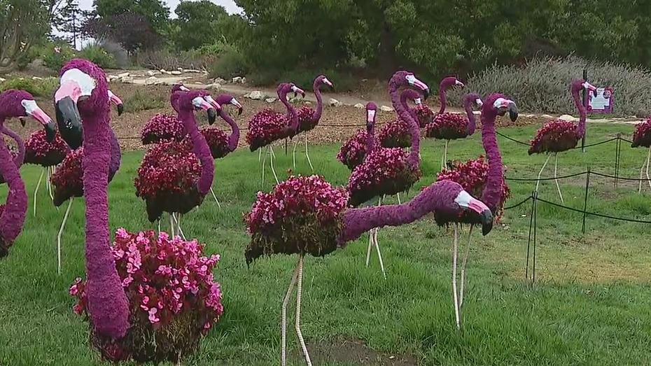 New exhibits at the South Coast Botanic Garden