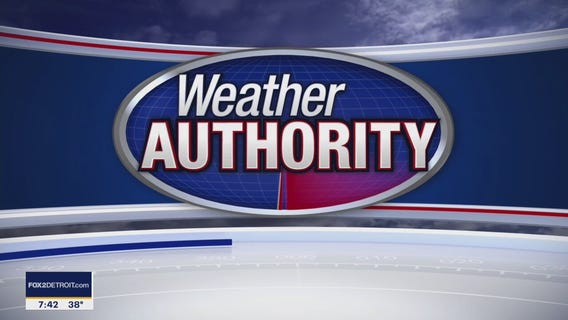 Meet Homer and  Bernice!