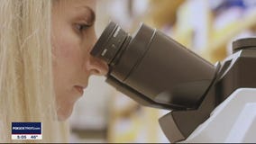 COVID-19's vaccine momentum builds following news of second company's success