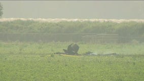 Pilot killed after plane crashes into strawberry field in Oxnard: officials