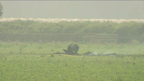 Pilot killed after plane crashes into strawberry field in Oxnard: officials
