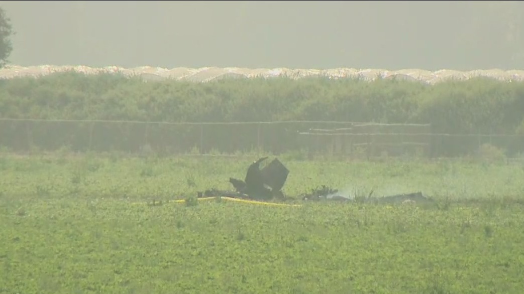 Pilot killed after plane crashes into strawberry field in Oxnard: officials