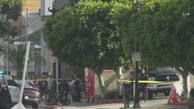 Suspected burglar arrested after running from LAPD, trying to carjack vehicle with locked doors