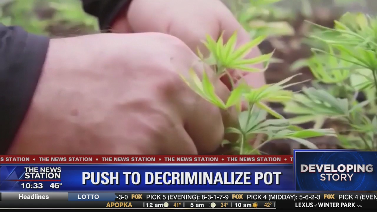 Push to decriminalize pot in Florida