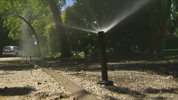 LA City receives most water waste complaints ever