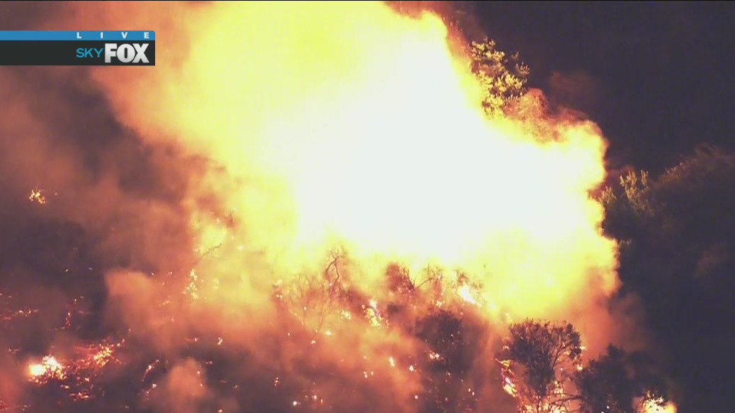 Coyote Fire: Iconic Hollywood sign will not be threatened, LAFD says