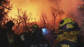 Coyote Fire: Wildfire burns part of Hollywood Hills near Universal Studios