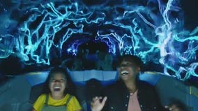 New Disney World attractions