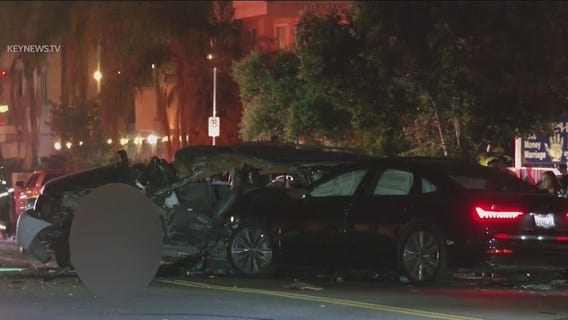 3 killed, 6 hurt. in horrific Winnetka crash