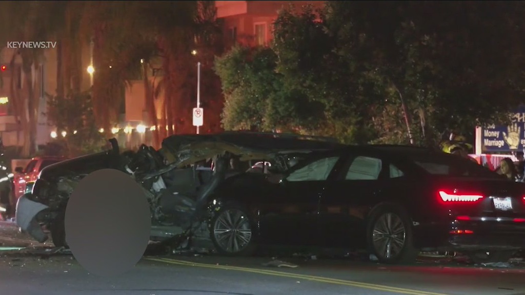 3 killed, 6 hurt. in horrific Winnetka crash