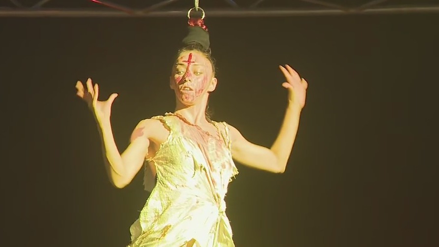 Dive into the magical world of Paranormal Cirque