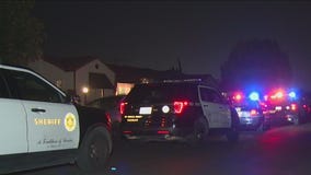 Rosemead armed robbery: Suspects take cash, 3-month-old French bulldog