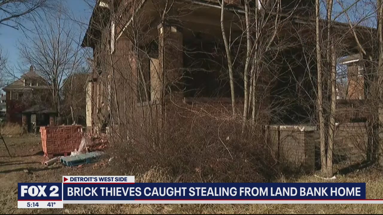 Thieves caught stealing bricks from land bank home in Detroit