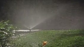 Burbank to ban outdoor water in September